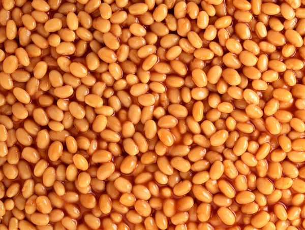 تصویر 4 از کنسرو لوبیا بدون سس گوجه فرنگی با ترکیبات پایه