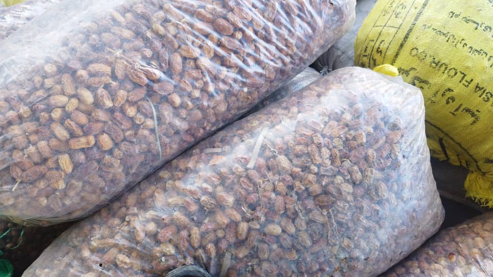 فروش خرما ضایعاتی برای شرکت های کنستانتره