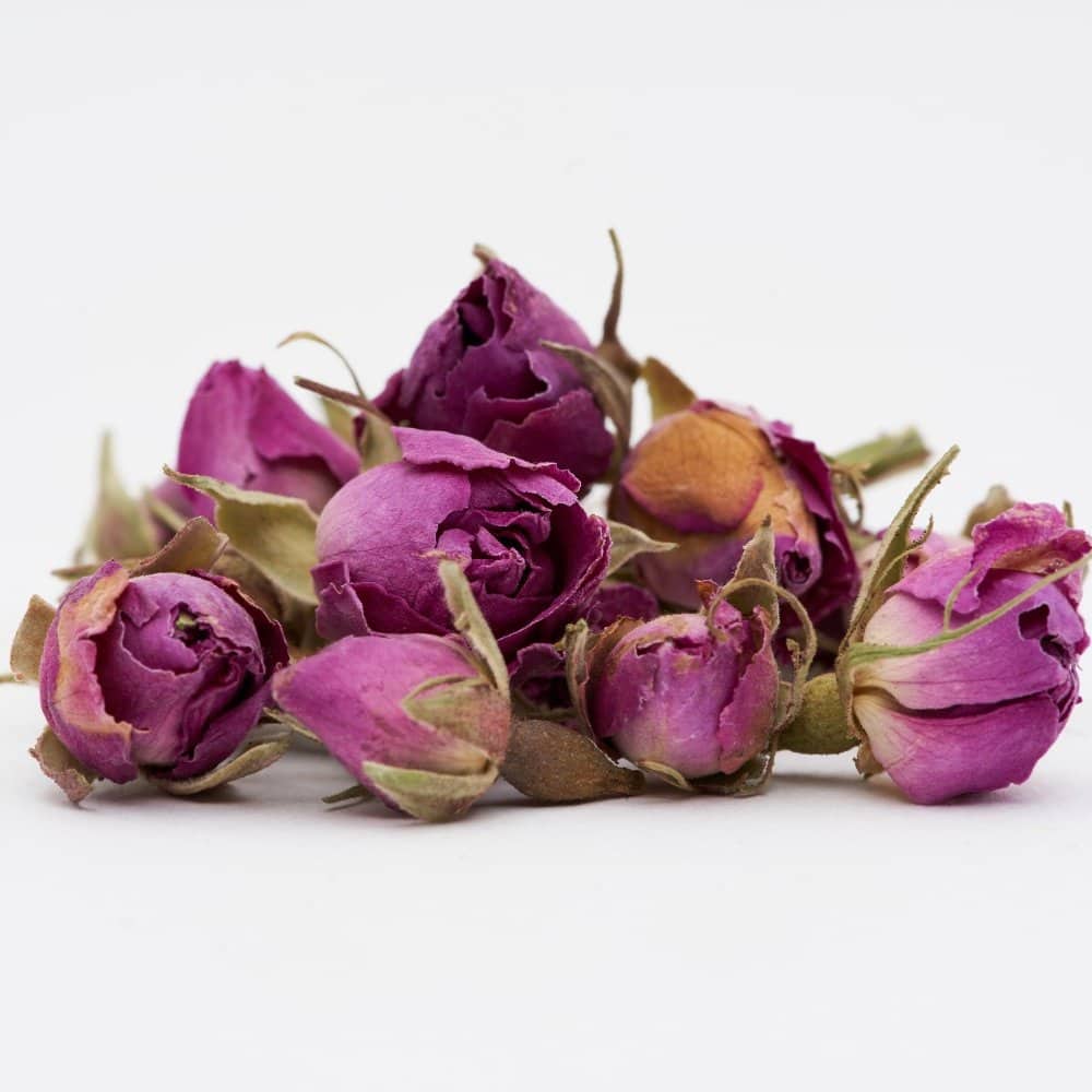 تصویر 2 از گل محمدی شیرازی با عطر دلنشین برداشت بهاری و کاربرد سنتی گسترده