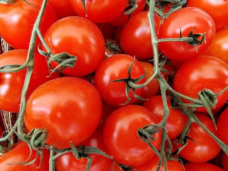 تصویر 3 از گوجه‌ فرنگی تازه و آبدار با کیفیت عالی و طعم طبیعی