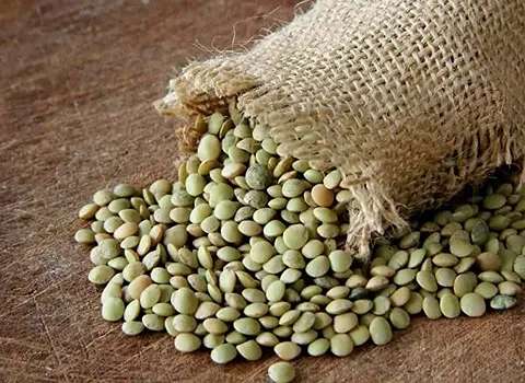 تصویر 2 از گونی عدس مناسب بارگیری سریع و حمل آسان