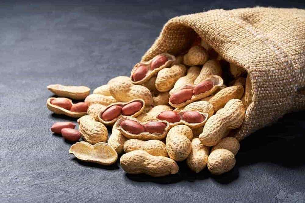 تصویر 1 از بادام زمینی با پوست تازه برداشت شده با مغز درشت طبیعی