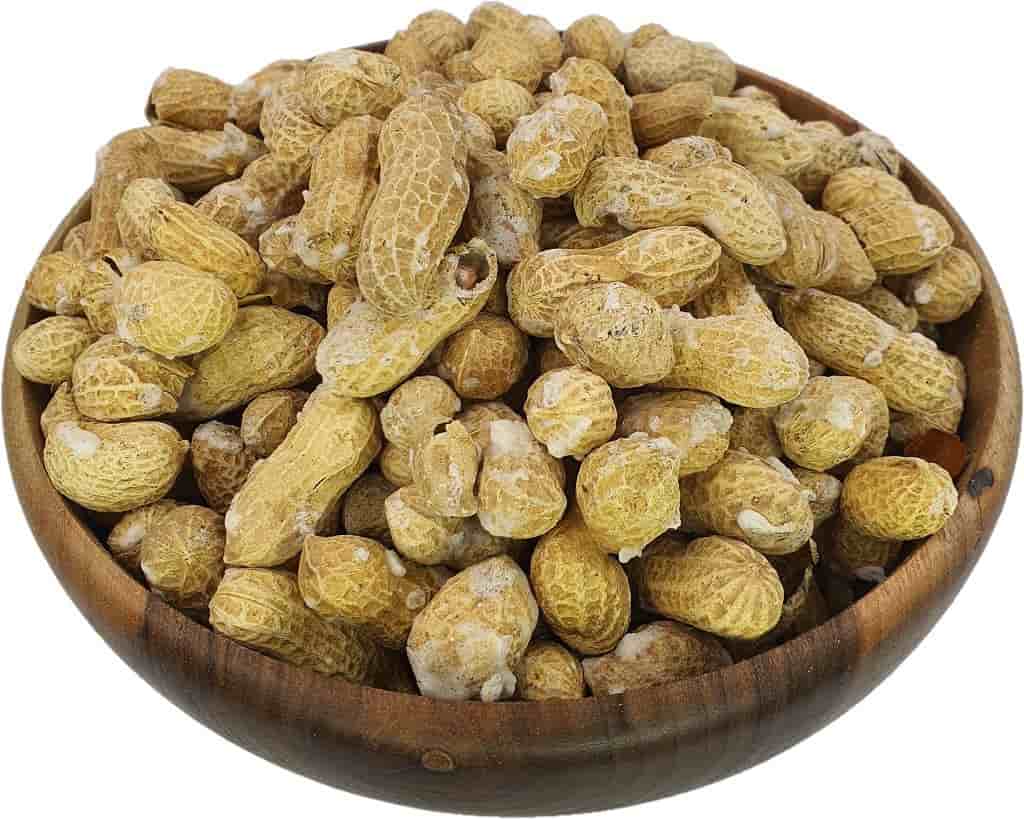 بادام زمینی با پوست تازه برداشت شده با مغز درشت طبیعی
