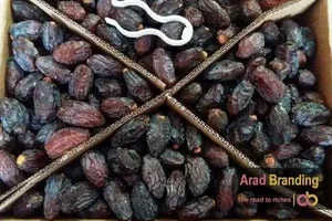 تصویر 3 از خرما مضافتی مشکین 550 گرمی انتخاب اقتصادی
