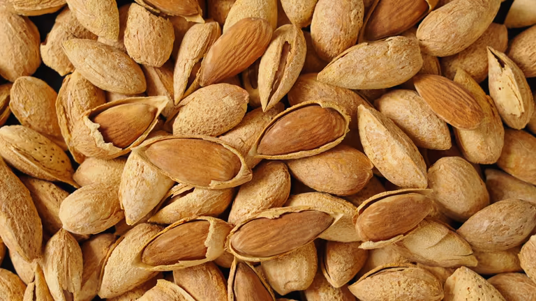 تصویر 3 از بادام درختی کیلویی خشک شده طبیعی بدون نمک مقرون به صرفه