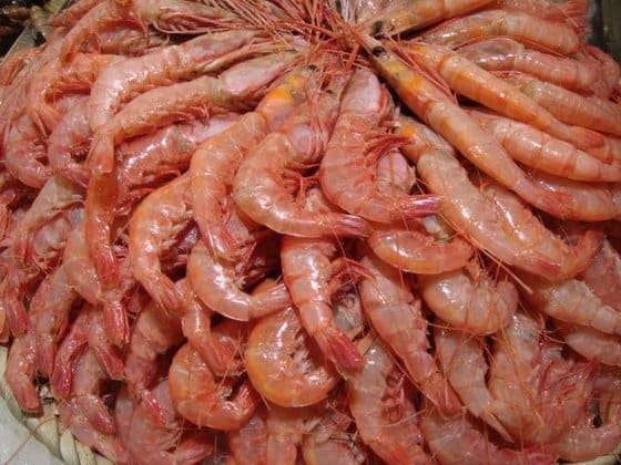 تصویر 2 از میگو سایز 20 تازه دریایی انتخابی مطمئن