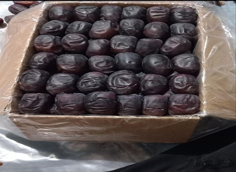 تصویر 4 از خرما مضافتی روستا برداشت تازه جنوب