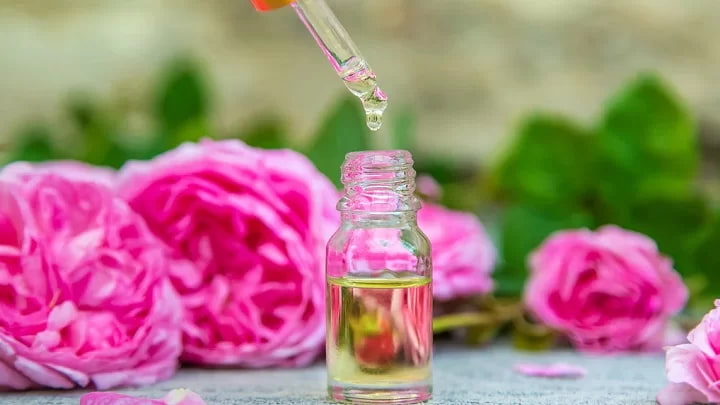 تصویر 1 از گل محمدی مناسب روغن گیری اصل با عطر طبیعی و رایحه دلنشین برای مراقبت پوست