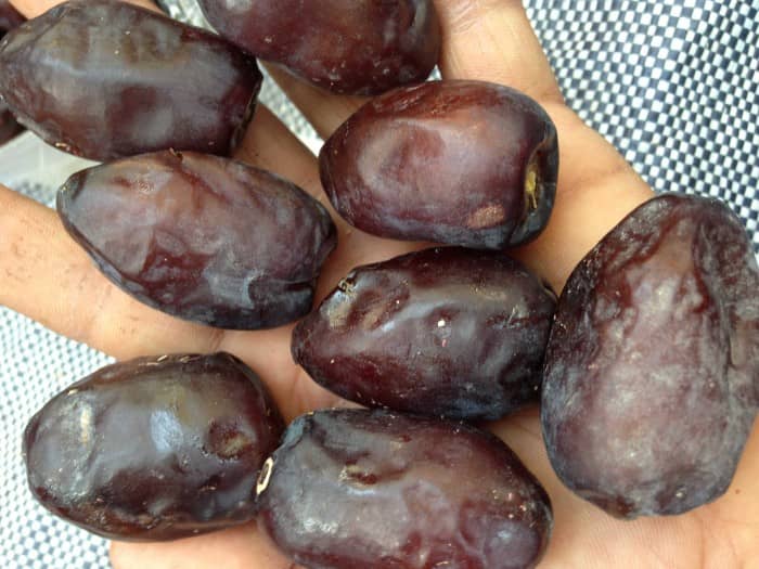 تصویر 3 از خرما مضافتی دیت لند محصول تازه‌ چین نخل