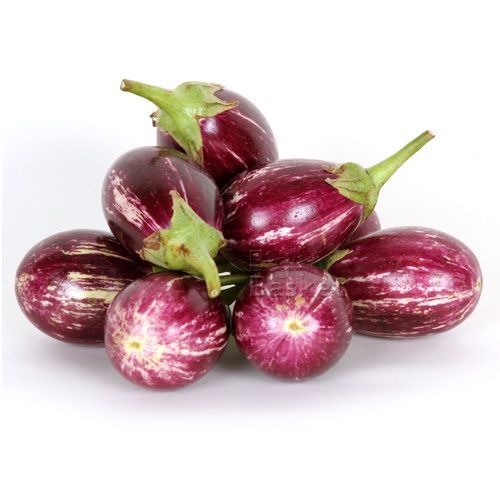 فروش بادمجان راه راه