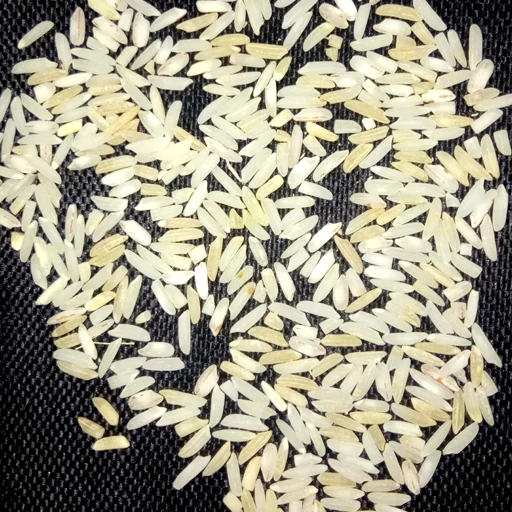 تصویر 2 از برنج هاشمی تونیک تام انتخابی مطمئن برای سفره ایرانی
