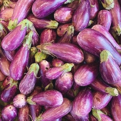 خرید بادمجان جگوار
