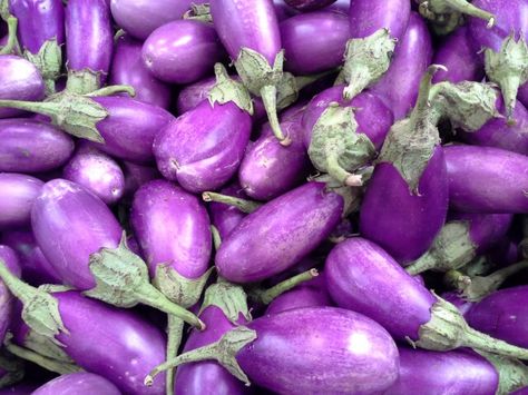 بادمجان فرنگی با سایز های متنوع برای تهیه پیش غذا