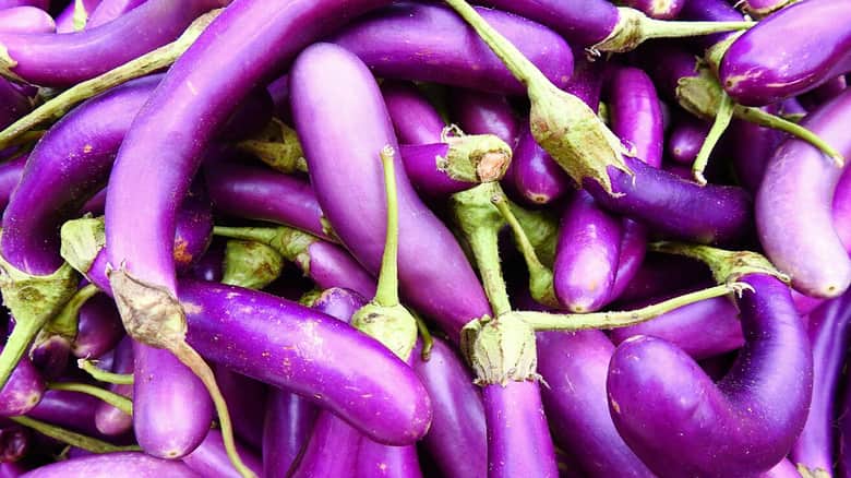 تصویر 1 از بادمجان فرنگی با سایز های متنوع برای تهیه پیش غذا