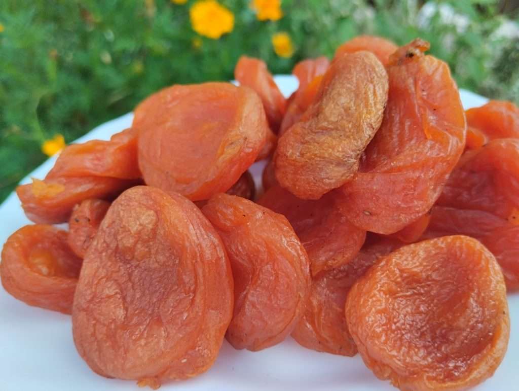 تصویر 2 از آلو بخارا ترش تعادل مطلوب مزه و کاربرد گسترده