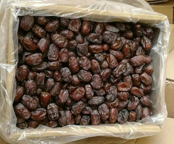 فروش خرما کلوته صادارت درجه یک جیرفت