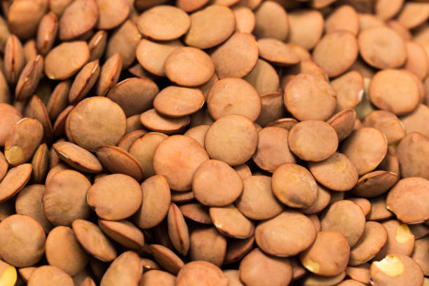 قیمت عدس گلستان