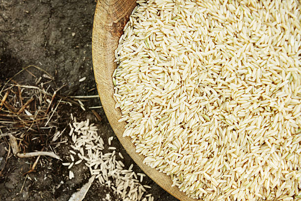 تصویر 1 از برنج دونوج اعیانی با درصد شکستگی کمتر از پنج درصد کیفیت عالی