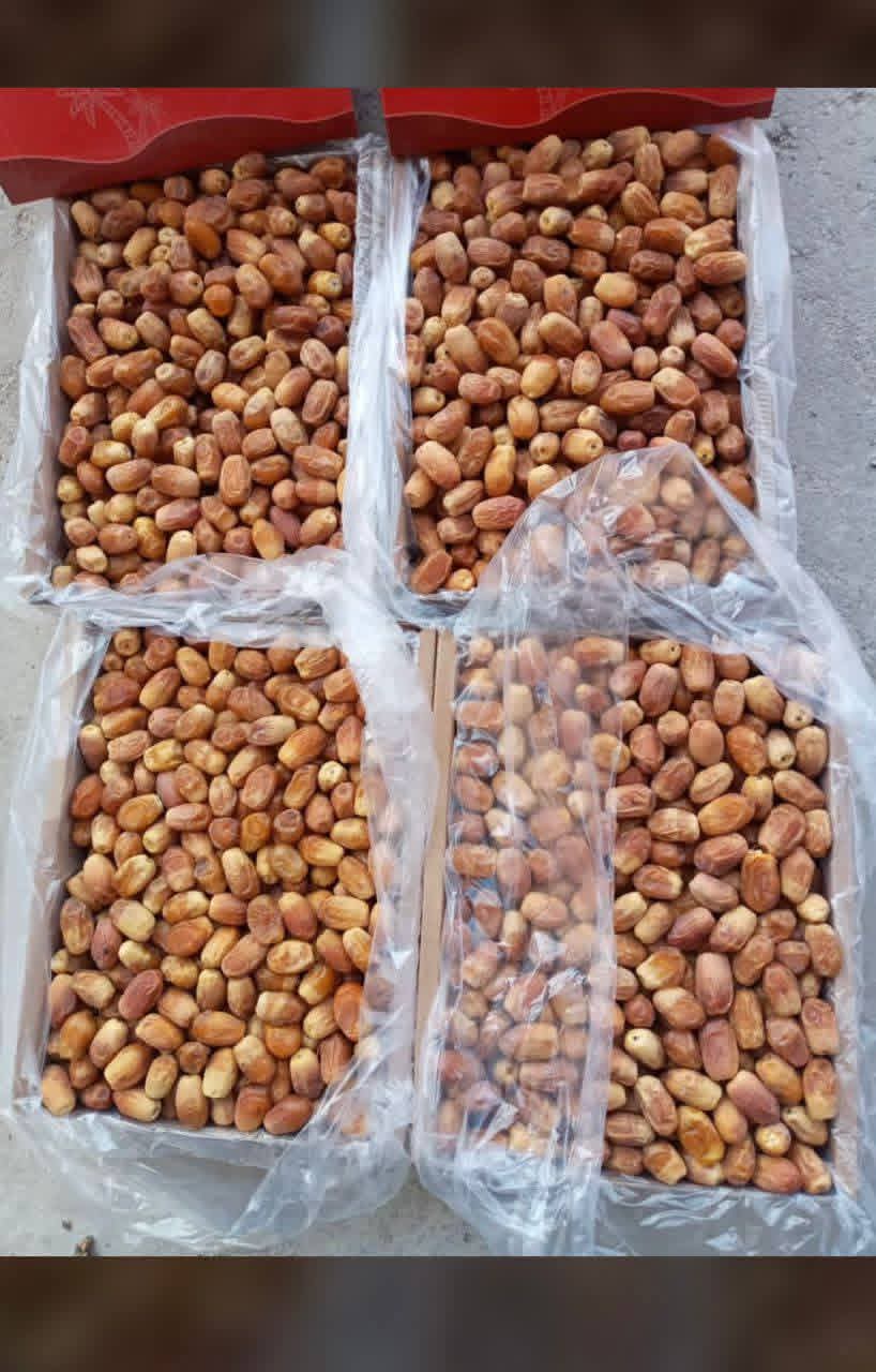 تصویر 1 از قیمت انواع خرما زاهدی درجه یک داخلی صادراتی بهترین کیفیت