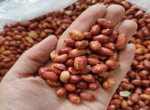 تصویر 1 از مغز بادام زمینی سرکه نمکی با طعم متعادل و دلپذیر