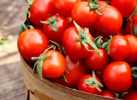تصویر 3 از گوجه‌ فرنگی مخصوص ربی سالم و بدون آسیب به بافت گوشتی