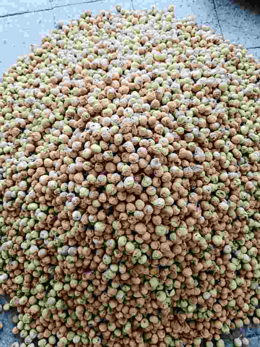 تصویر 5 از خرید انجیر خشک ریز دی ماه ۴۰۴ + قیمت فروش عمده