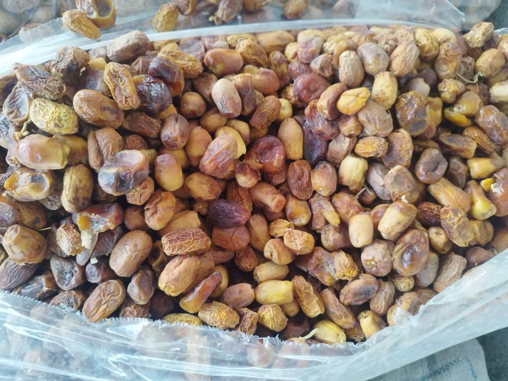 تصویر 1 از خرید ضایعات خرما برای تولید شیره خرما + مستقیم از باغدار با قیمت مناسب