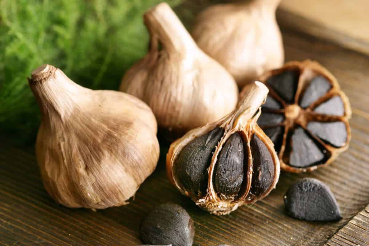 سیر سیاه شرکتی تولید شده در محیط کنترل شده و بهداشتی