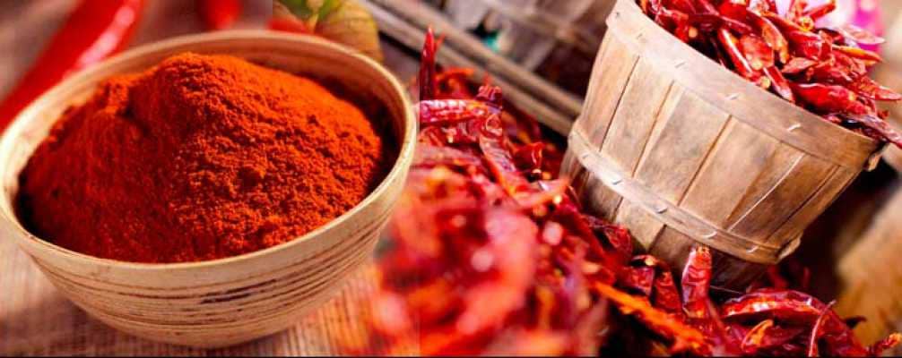 تصویر 4 از پودر فلفل چیلی آسیاب ریز تند برای خوراک گرم