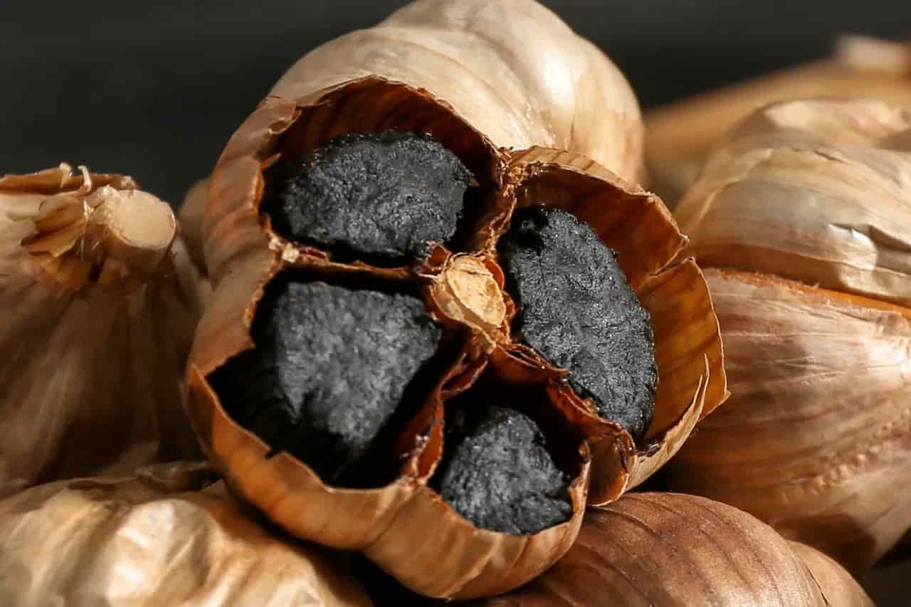 تصویر 3 از سیر سیاه سولان قابل استفاده در رژیم های متنوع