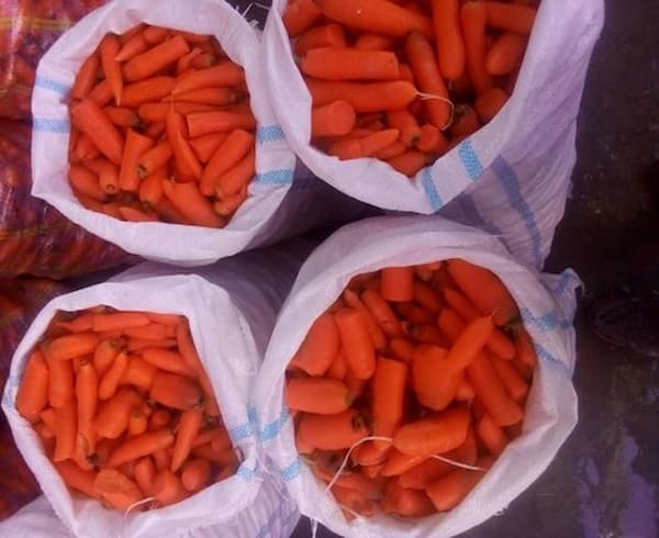 گونی هویج با کیفیت بالا برای بسته بندی ایمن
