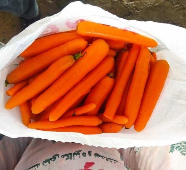 فروش گونی بسته بندی
