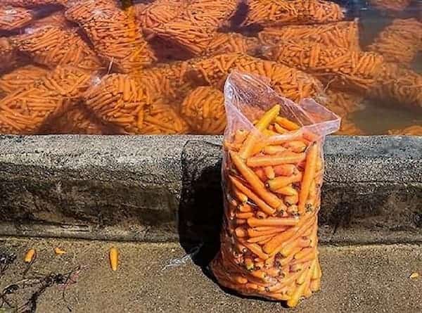 تصویر 1 از گونی هویج ساده و کاربردی برای بسته بندی