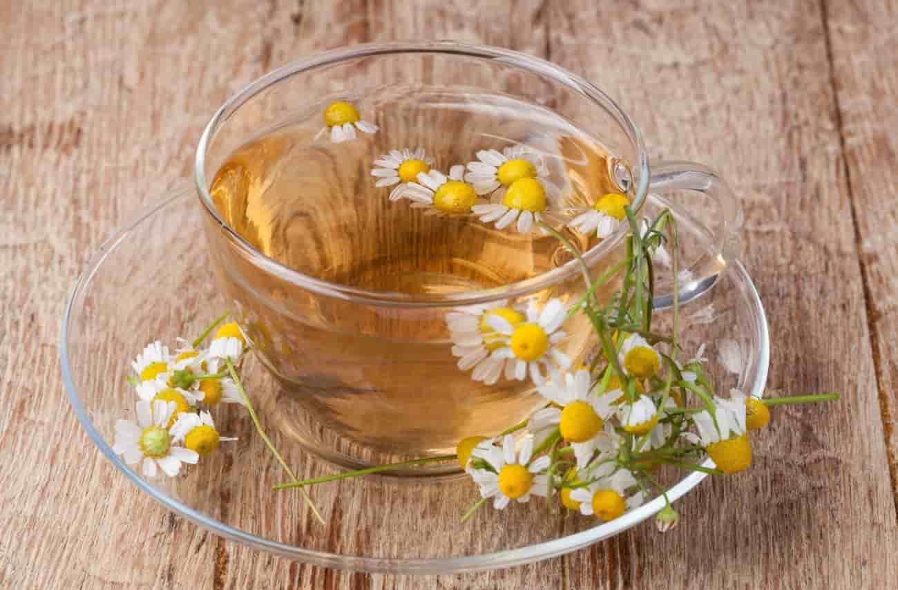 تصویر 4 از بابونه المانی خشک شده آسیاب یکنواخت دارویی