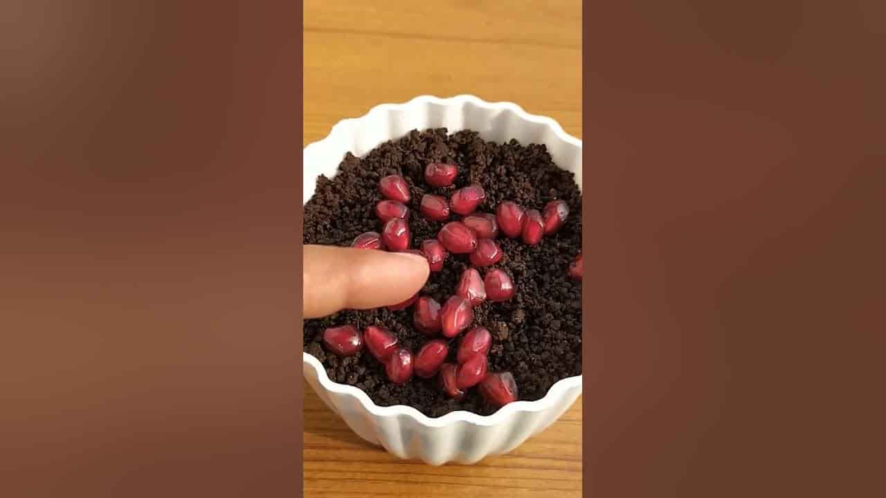 قیمت لواشک انار