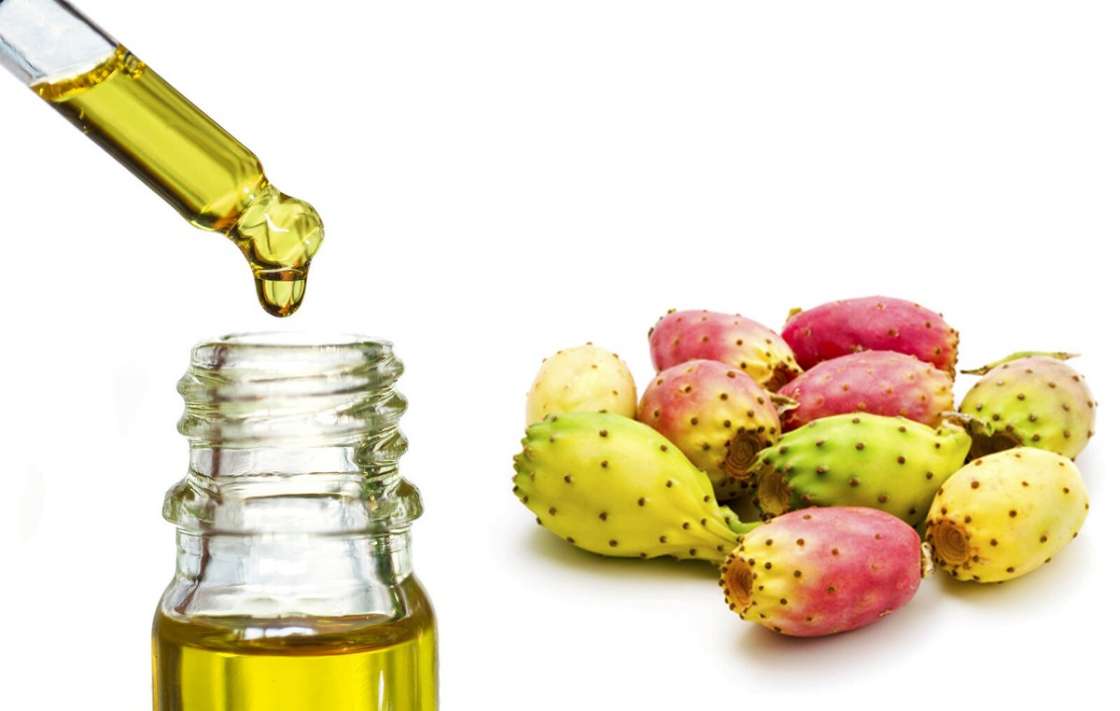 تصویر 4 از فروش روغن هسته میوه کاکتوس خالص + عرضه مستقیم و تضمین کیفیت تولید ایران