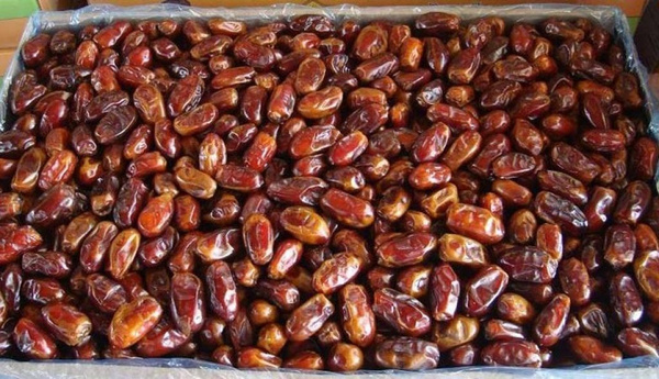 تصویر 4 از خرما کبکاب مشگین بسته‌ بندی شده فروشگاهی با وزن‌های متنوع