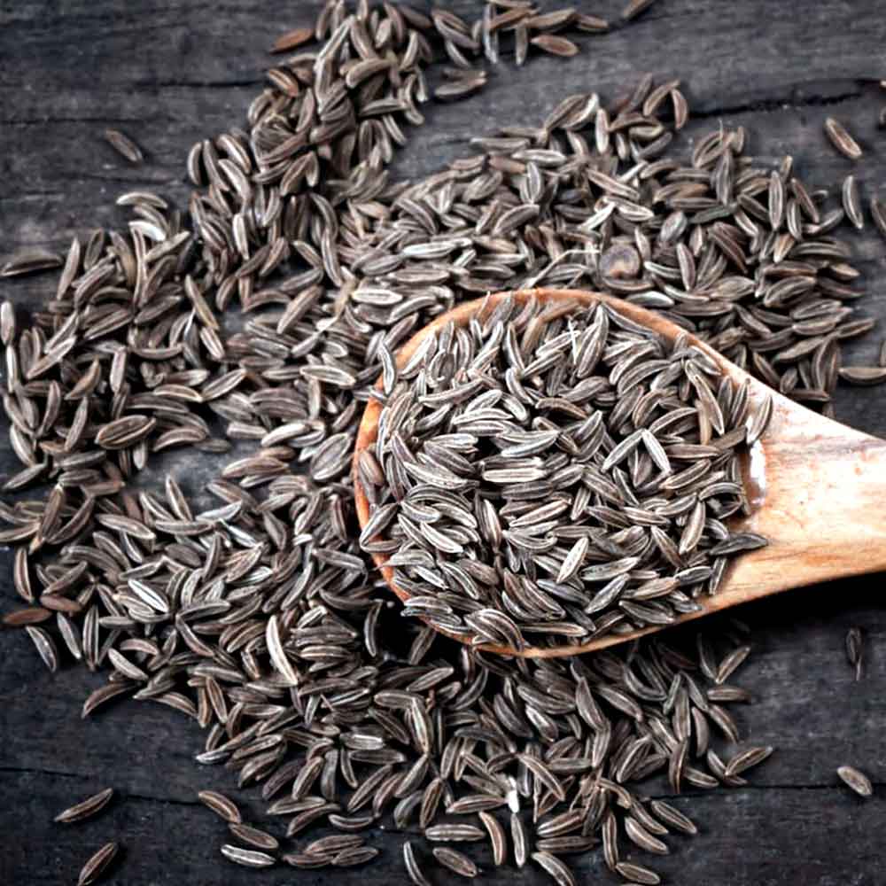 زیره کوهی سیاه مخصوص تأمین عطاری‌ ها
