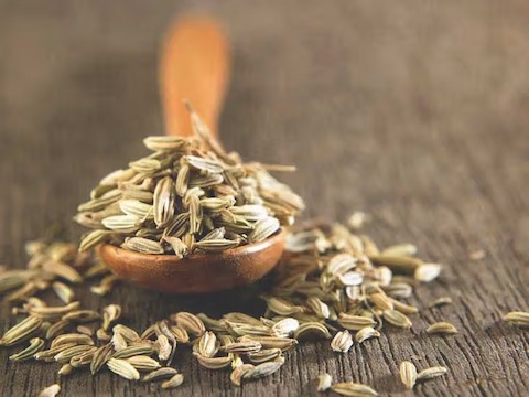 تصویر 4 از زیره کوهی سبز آماده عرضه در حجم بالا
