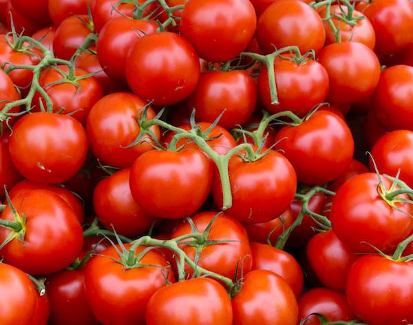 تصویر 4 از گوجه فرنگی تازه و درجه یک با کیفیت صادراتی