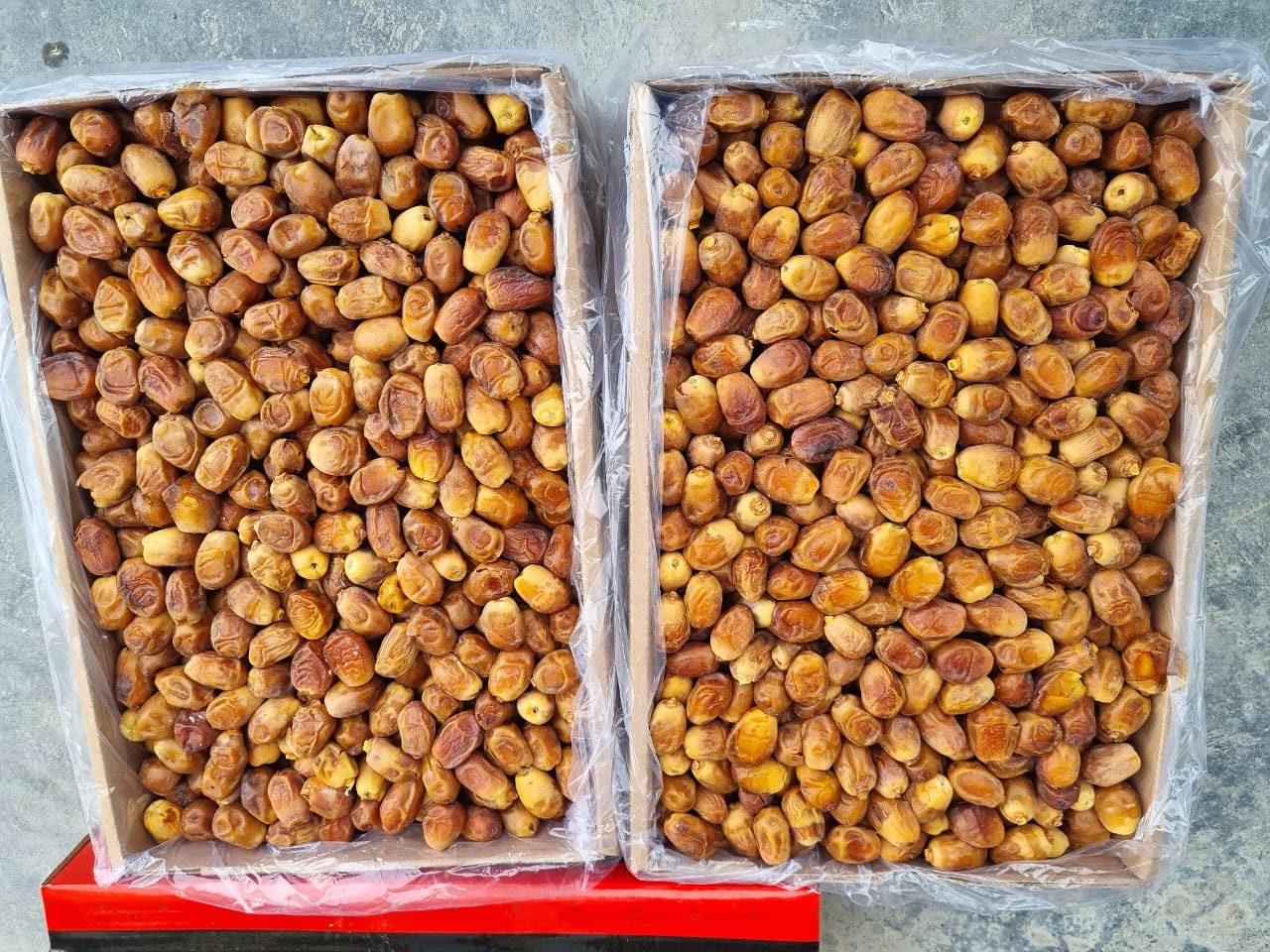 قیمت انواع خرما زاهدی درجه یک فراشبند داخلی صادراتی