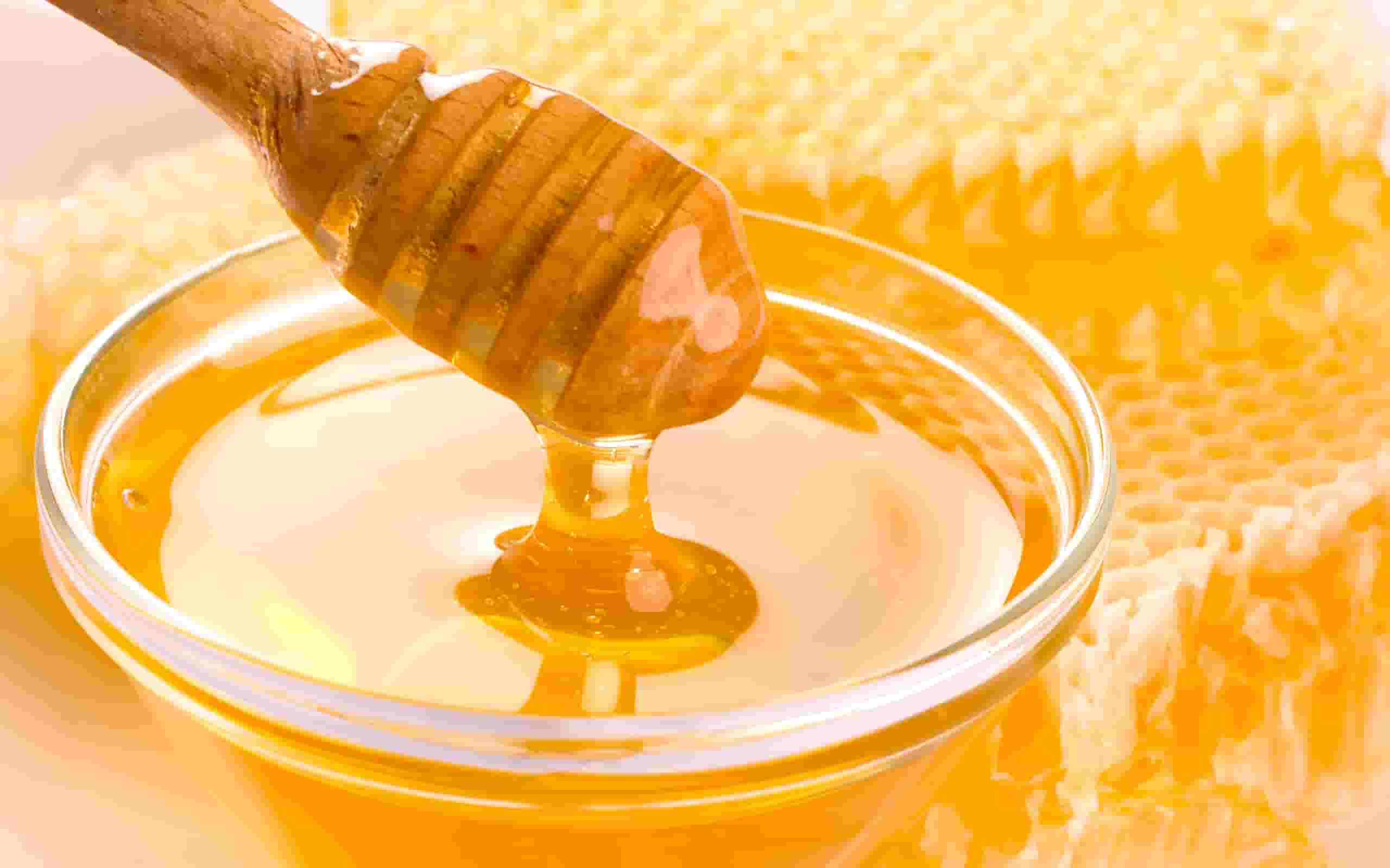 فروش عسل کندو
