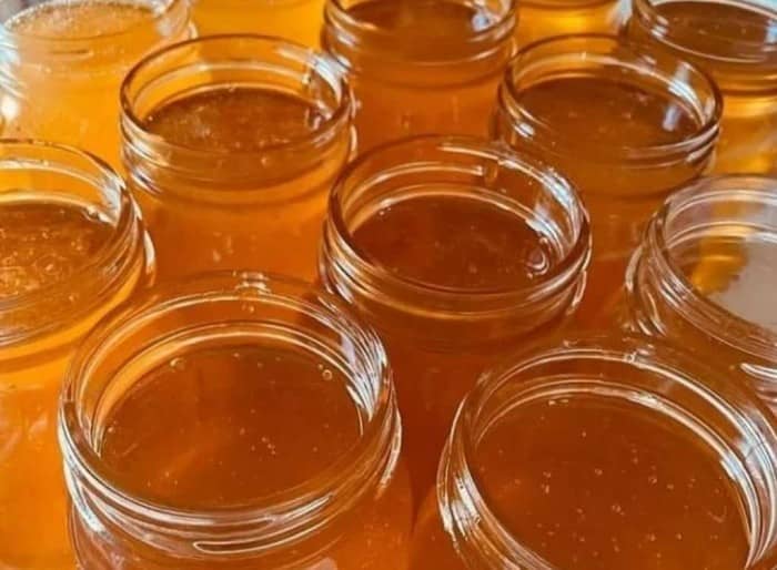 تصویر 3 از عسل اقاقیا ارگانیک شفاف و لطیف