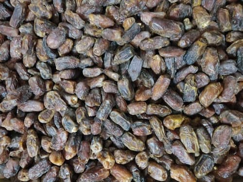 تصویر 3 از خرما پیارم محلی با کیفیت فوق العاده