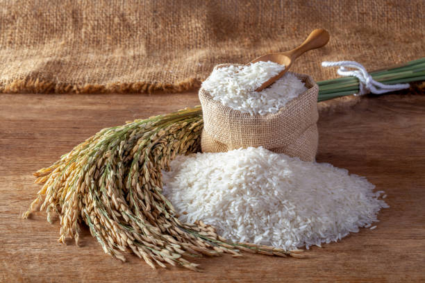 برنج کامفیروزی یکدست با ظاهر زیبا