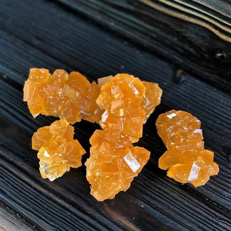 نبات ریز