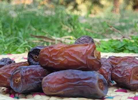تصویر 3 از خرمای پیارم غنی از پتاسیم و منیزیم