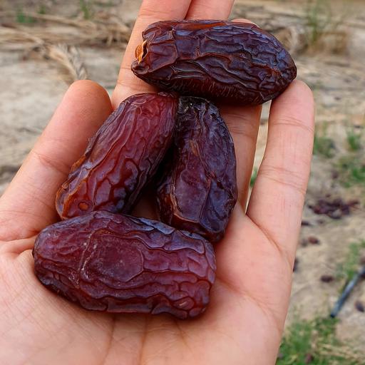 تصویر 2 از خرما پیارم با کیفیت برتر و طعم شیرین