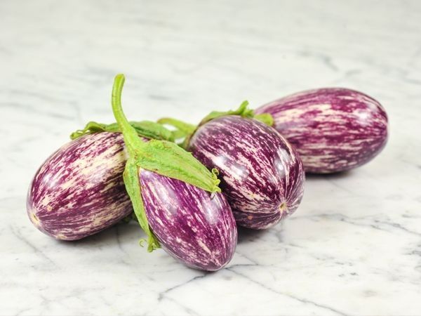 قیمت بادمجان بنفش