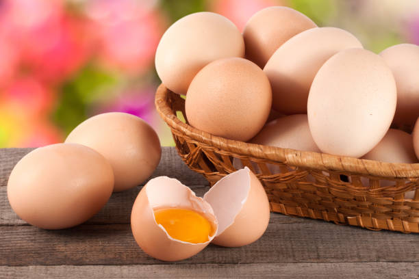 تخم مرغ محلی با طعم واقعی و تازگی بی نظیر